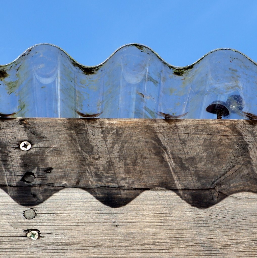Photography by Ollie Couling