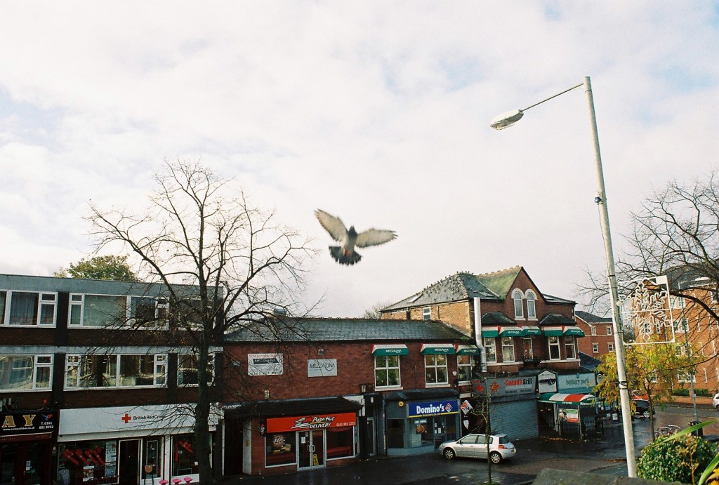 Photography by Ollie Couling