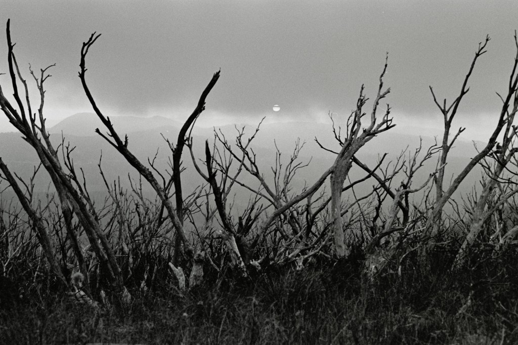 Photography by Ollie Couling