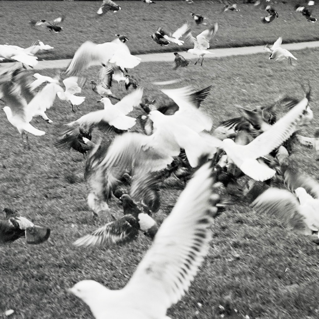 Photography by Ollie Couling