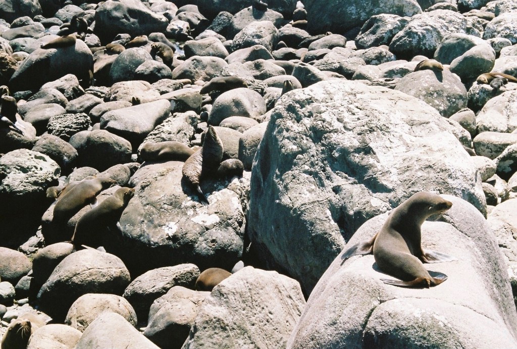 Photography by Ollie Couling