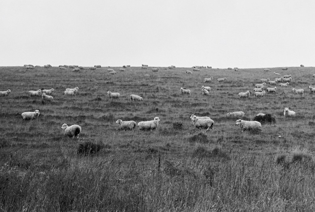 Photography by Ollie Couling