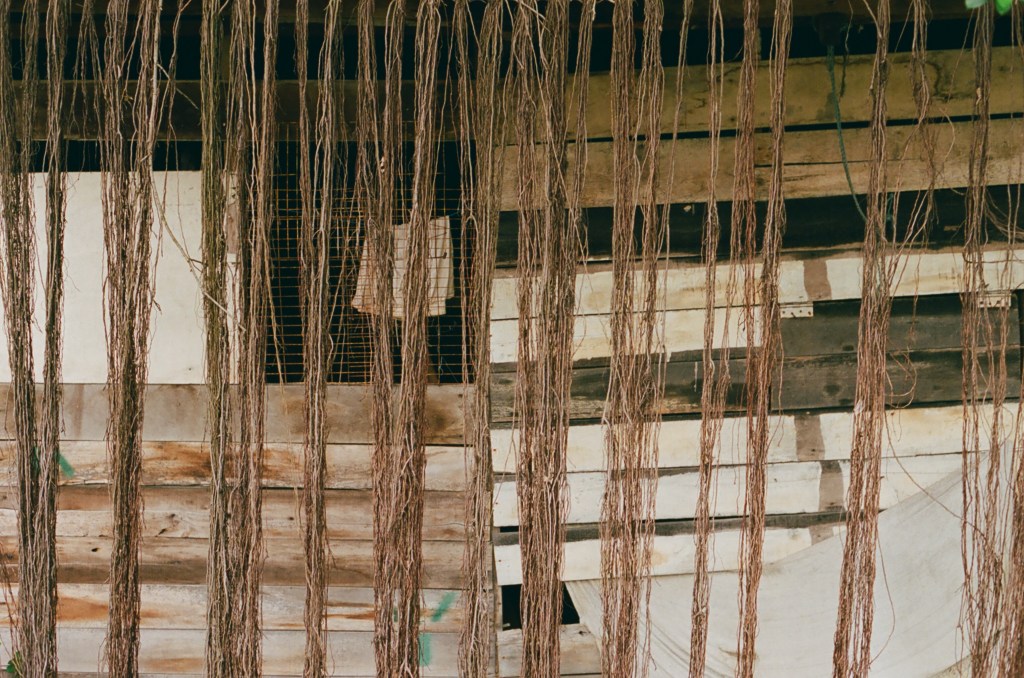 Photography by Ollie Couling
