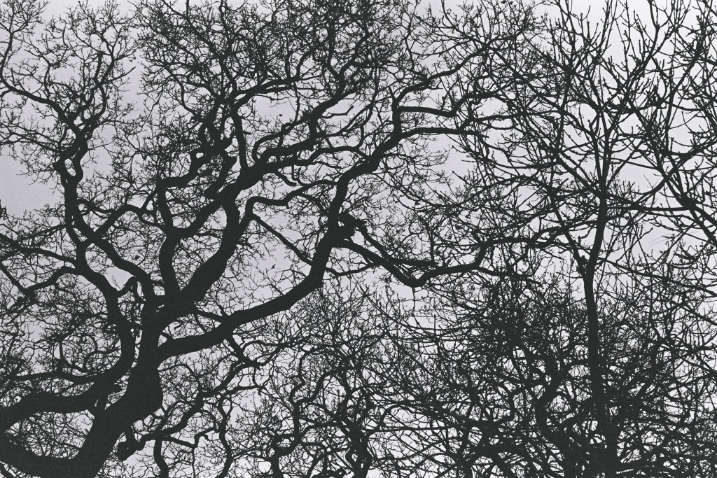 Photography by Ollie Couling