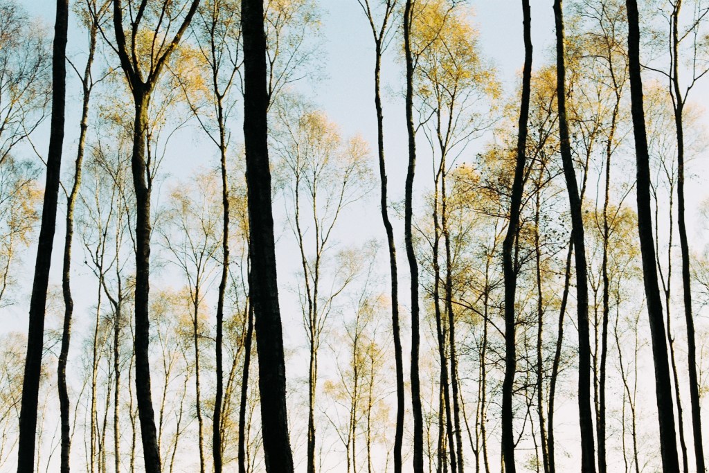 Photography by Ollie Couling