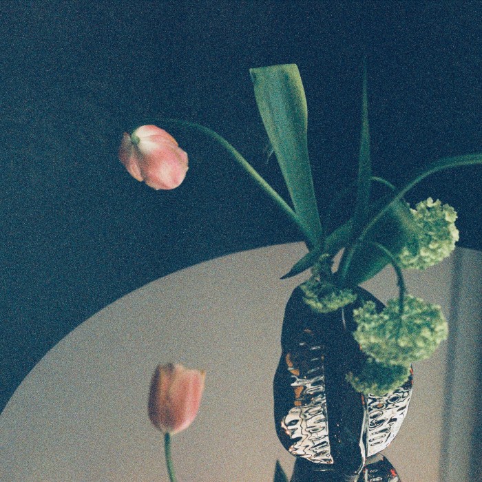 35mm film photography by Ollie Couling